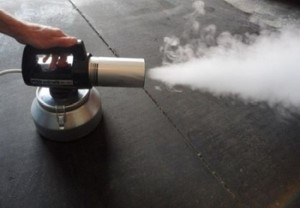 Дезинсекция и дератизация